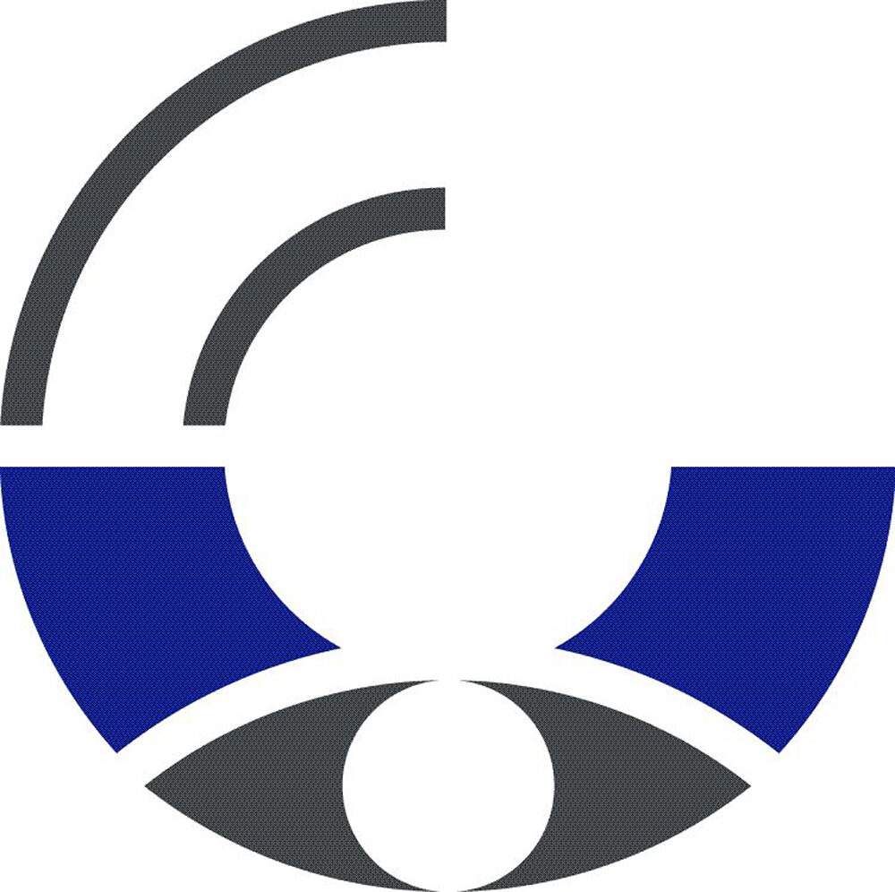 Logo der IfS